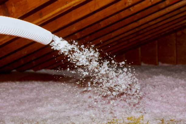 Best Spray Foam Insulation in Cold Spring, KY