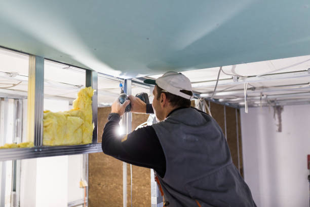 Types of Insulation We Offer in Cold Spring, KY