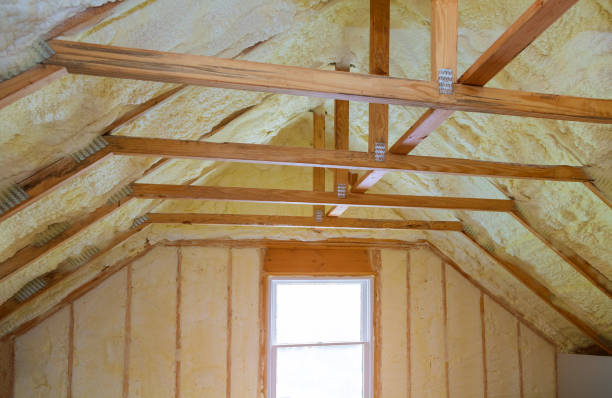 Best Eco-Friendly Insulation in Cold Spring, KY