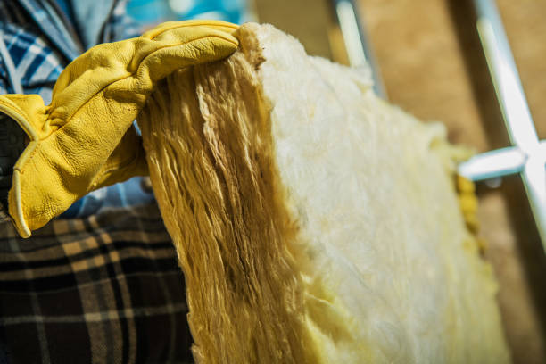 Professional Insulation Contractor in Cold Spring, KY